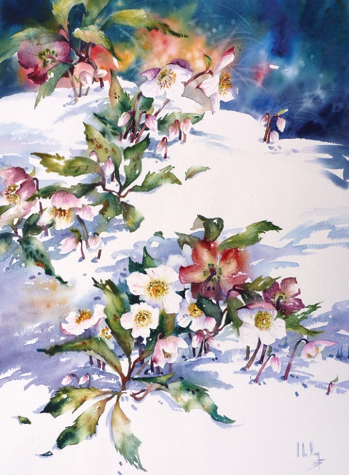 Fleur - Princesses des neiges (60x42cm)